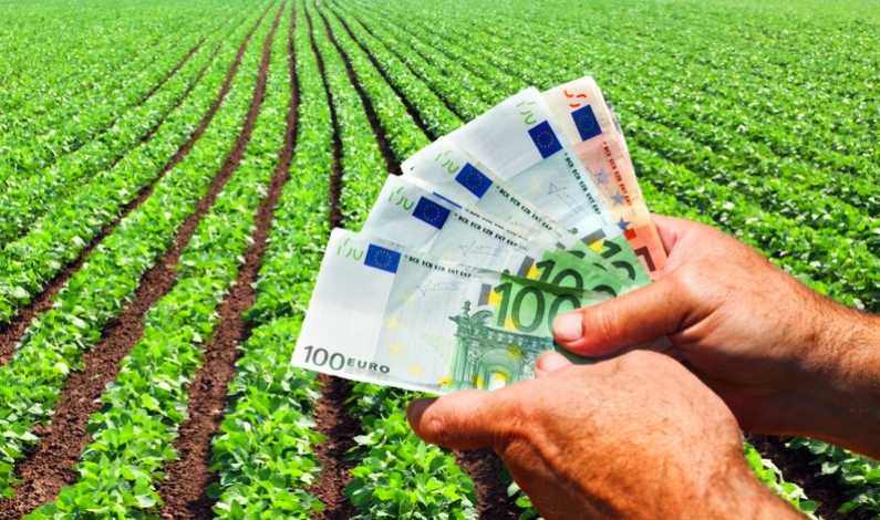 Fonduri Europene Disponibile pentru Agricultura și Investiții Non-Agricole în Mediul Rural